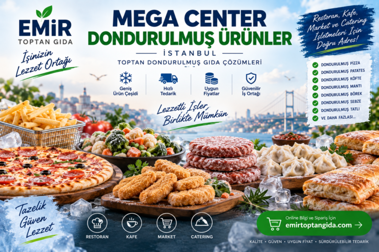 Mega Center dondurulmuş ürünler İstanbul